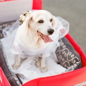 Meet your Posher, Miso